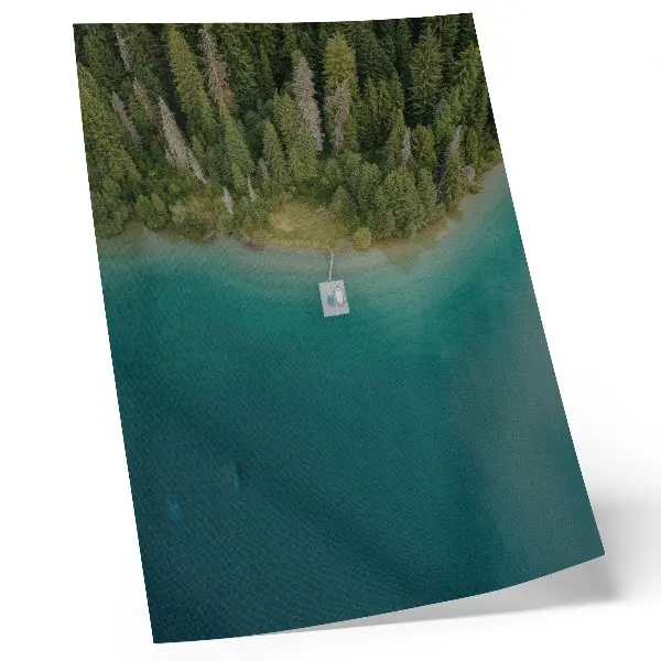 Art print forest lake bridge in green and blue