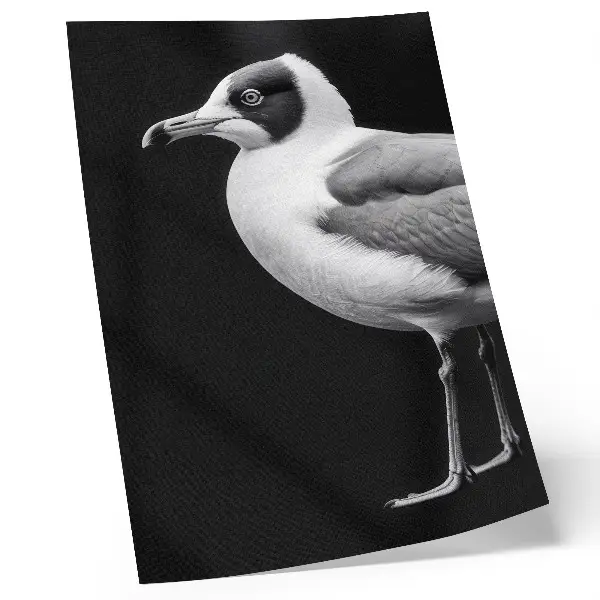 Decorative bird poster minimalist style with black and white contrast