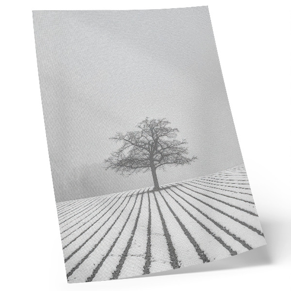 Poster Tree in the snow winter landscape minimalism