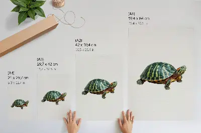 Green Turtle Art Print with nature harmony details