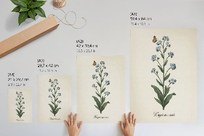 Decorative poster Forget-me-nots and a butterfly on a cream background