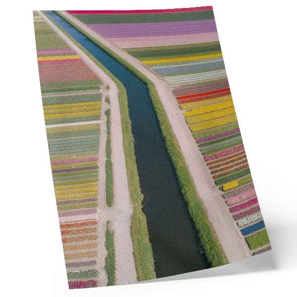 Art print Colorful stripes of flowers along the canal