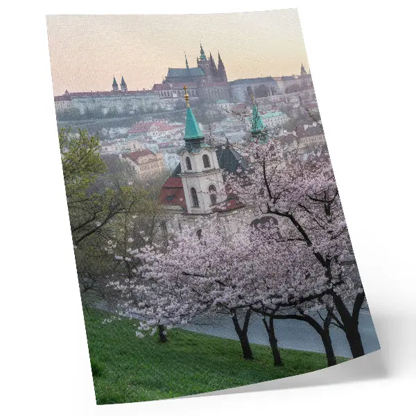 Decorative poster the city in spring with flowering trees and church towers