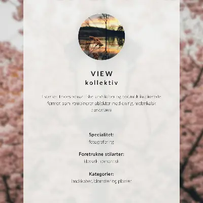 Decorative poster the city in spring with flowering trees and church towers
