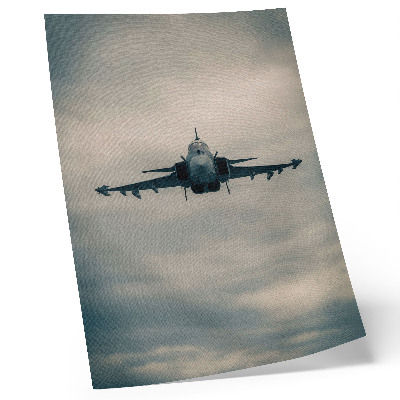 Monochrome fighter plane wall art in dynamic flight