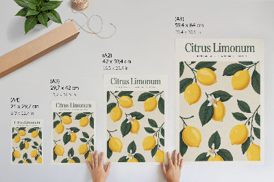 Poster Juicy lemons green leaves cream background