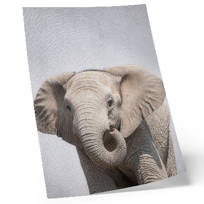 Art print young elephant on a light background