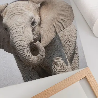 Art print young elephant on a light background