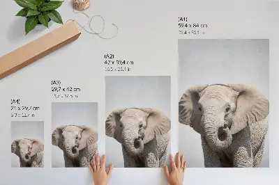 Art print young elephant on a light background