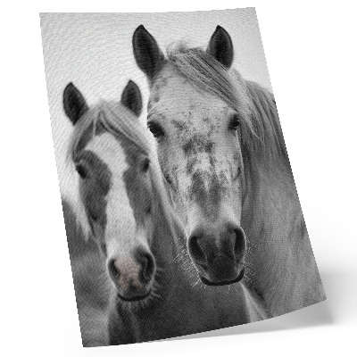 Art print monochromatic horses in an elegant shot
