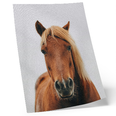 Art print minimalist horse portrait featuring natural beauty and elegance