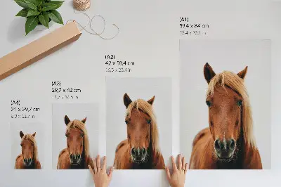 Art print minimalist horse portrait featuring natural beauty and elegance