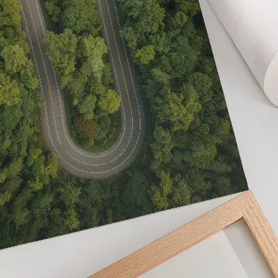 Decorative poster a narrow winding forest road