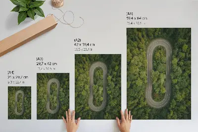 Decorative poster a narrow winding forest road