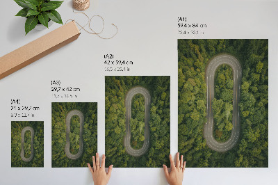 Decorative poster A narrow, winding road through the green forest