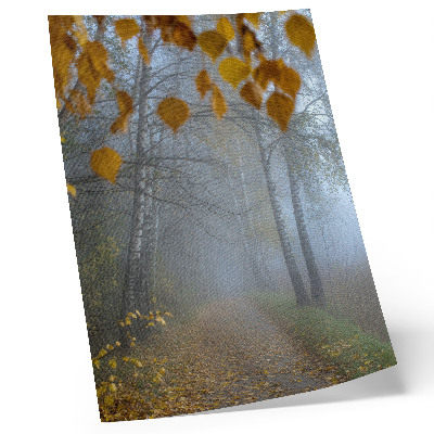 Decorative poster Foggy autumn forest birch trees yellow leaves