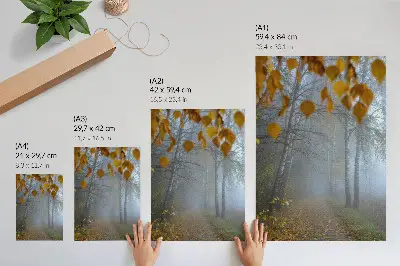 Decorative poster foggy autumn forest with birch trees and yellow leaves