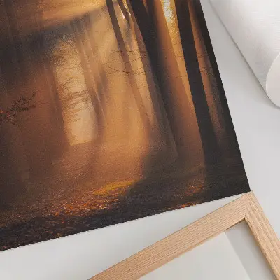 Magical forest trees and sun rays poster peaceful nature landscape art print