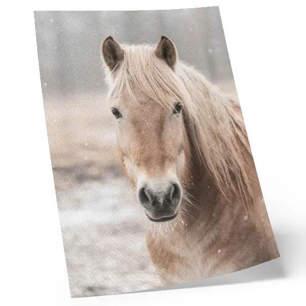 Decorative poster featuring a horse in winter with gentle colors and a peaceful nature theme
