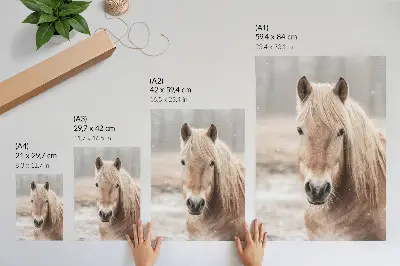 Decorative poster featuring a horse in winter with gentle colors and a peaceful nature theme