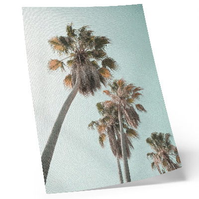Poster Palm trees delicate blue sky exotic