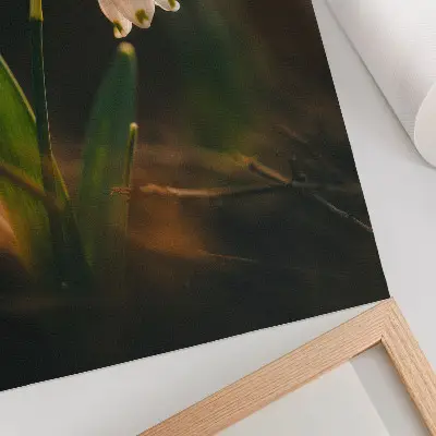 Decorative poster snowdrop with green leaves in warm light