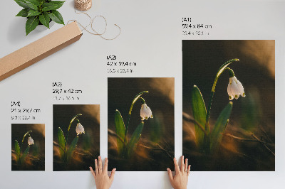 Decorative poster Snowdrop green leaves warm light