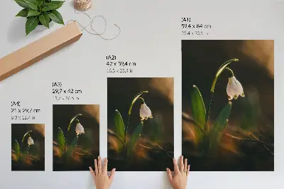 Decorative poster snowdrop with green leaves in warm light
