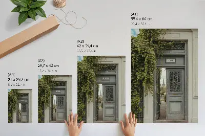 Premium wall art antique door with ivy on a mysterious path