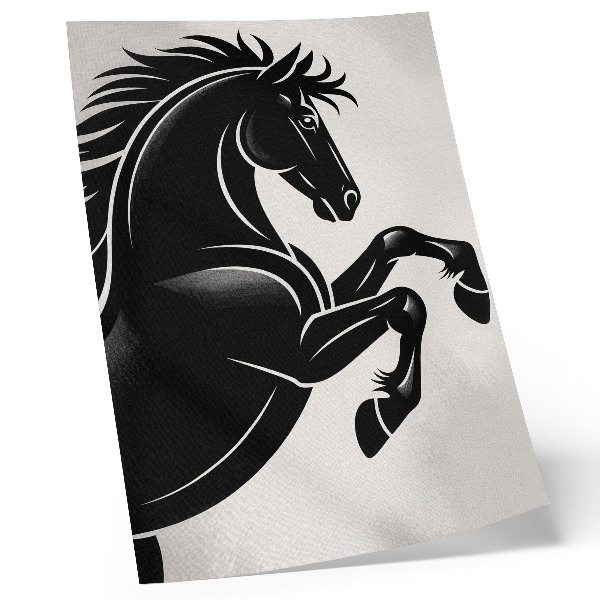 Decorative poster Black and white contrast modern dynamism