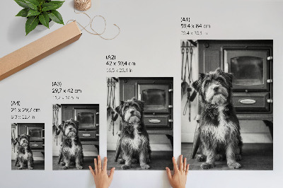 Art print A calm black and white dog by an old stove