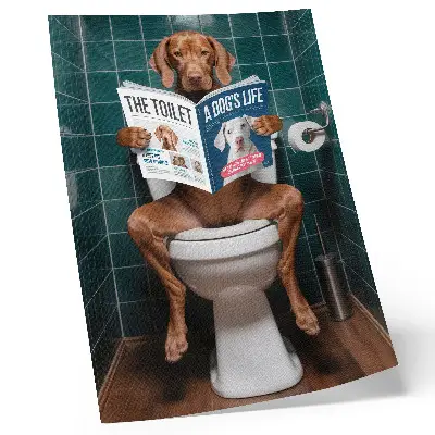 Decorative poster dog on a toilet with a magazine and green tiles
