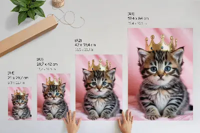 Kitten crown poster with blue eyes pink decoration