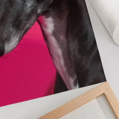 Decorative poster black and white dog on an intense pink background