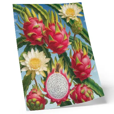 Art print exotic fruits and cacti with bright sky colors