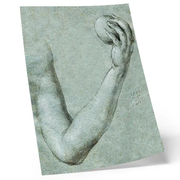 Eve's Arm (1507) by Albrecht Dürer decorative poster