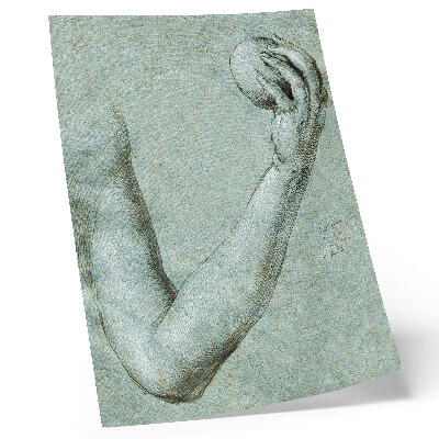 Decorative poster Eve's Arm (1507) by Albrecht Dürer