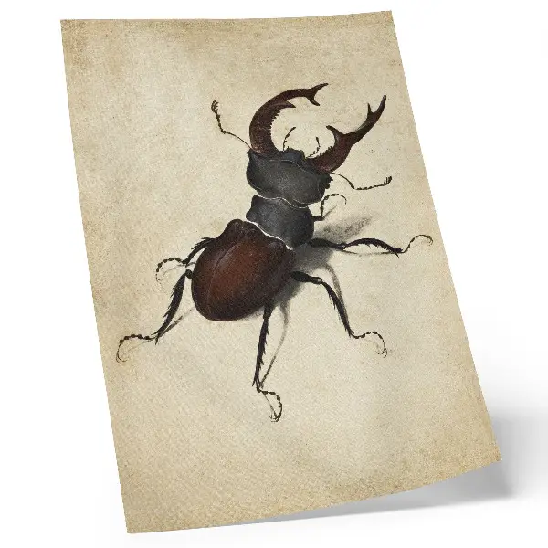 The Stag Beetle by Albrecht Dürer (1505) poster