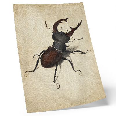 Poster The Stag Beetle by Albrecht Dürer (1505)