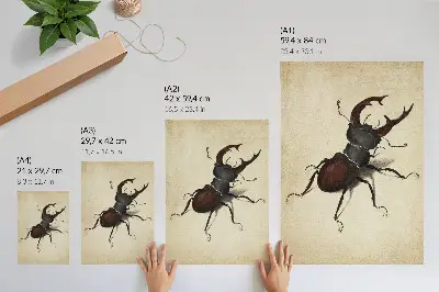 The Stag Beetle by Albrecht Dürer (1505) poster