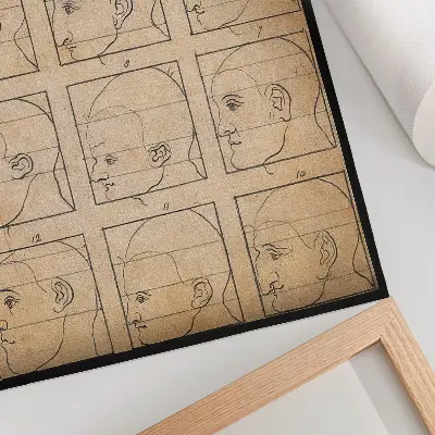 Poster twelve human profiles in outline by Albert Dürer, ca. 1794