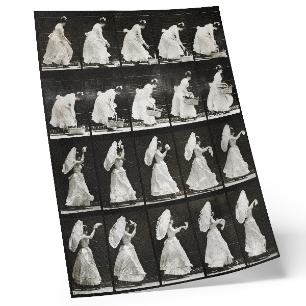 Poster Woman Lifting a Basket, Waving a Handkerchief (1887) – photograph by Eadweard Muybridge