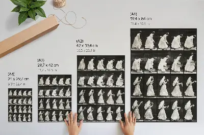 Woman Lifting a Basket, Waving a Handkerchief (1887) by Eadweard Muybridge poster