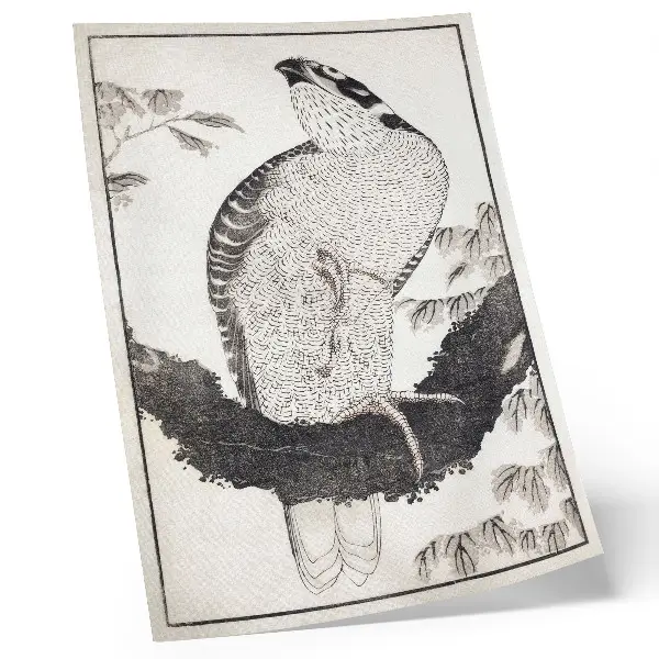 Katsushika Hokusai Bird from the Album of Sketches (1814) decorative poster vintage Japanese woodblock print