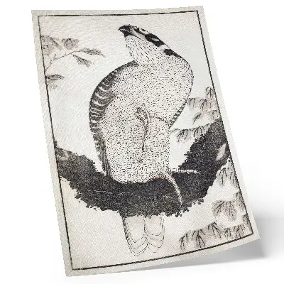 Katsushika Hokusai Bird from the Album of Sketches (1814) decorative poster vintage Japanese woodblock print