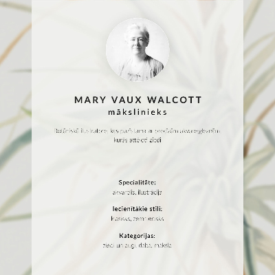 Poster Wild Pineapple (Tillandsia fasciculata) (1921) by Mary Vaux Walcott
