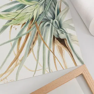 Poster featuring Wild Pineapple (Tillandsia fasciculata) (1921) by Mary Vaux Walcott