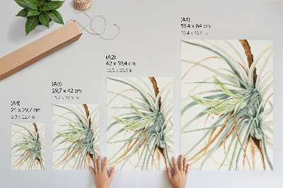 Poster Wild Pineapple (Tillandsia fasciculata) (1921) by Mary Vaux Walcott