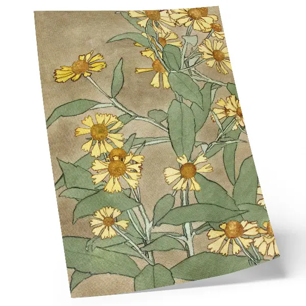 Art print Daisies with Orange Center and Yellow Petals (1915) by Hannah Borger Overbeck