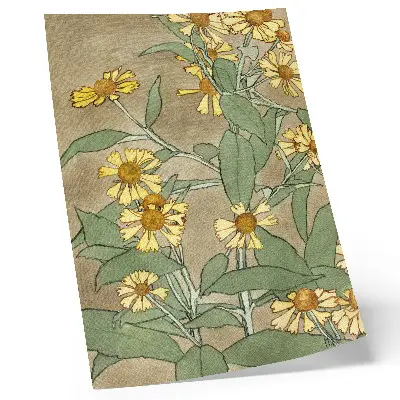 Art print Daisies with Orange Center and Yellow Petals (1915) by Hannah Borger Overbeck